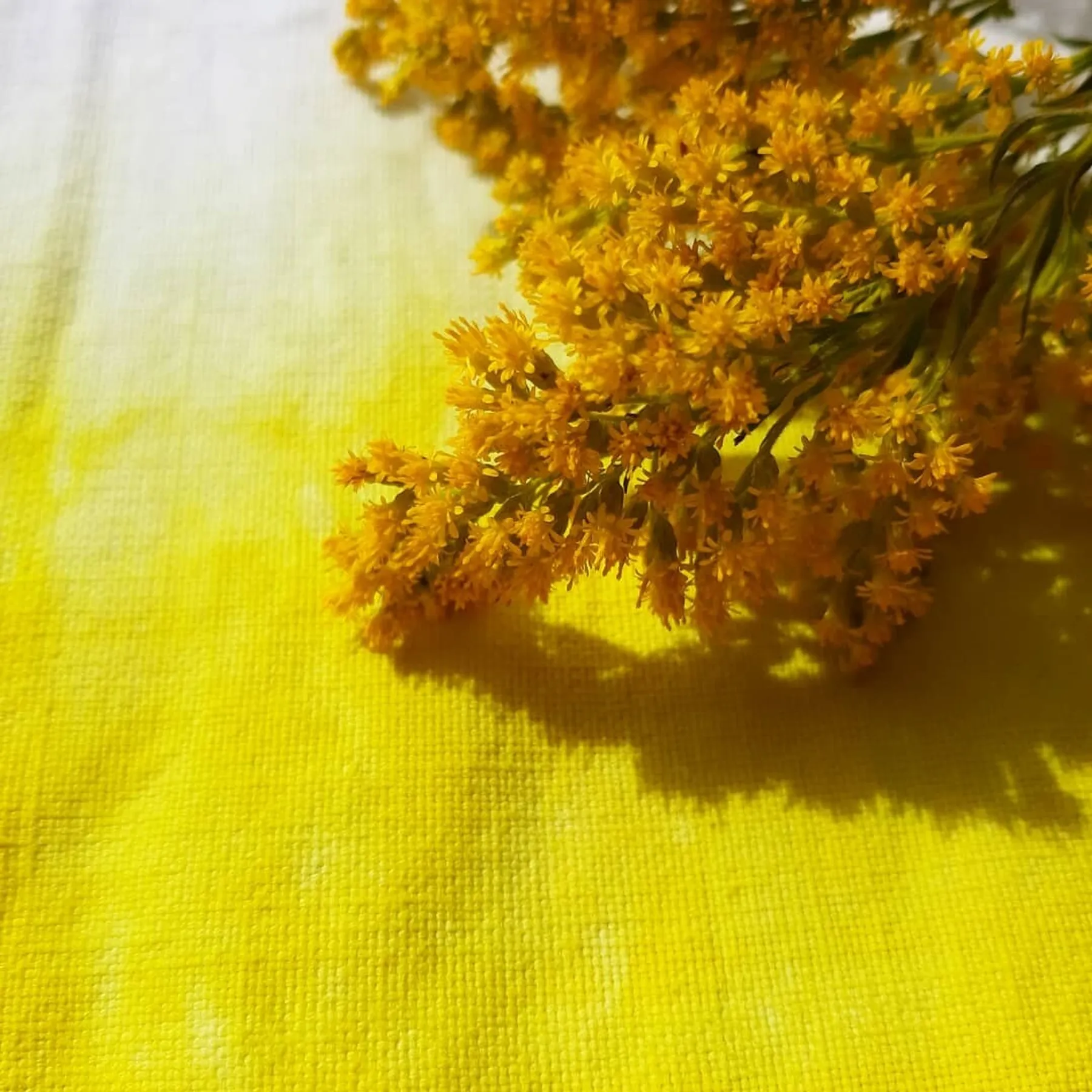 Initiez-vous à la teinture végétale - Image n°3 - Wecandoo