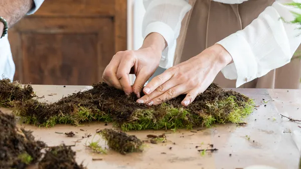 Réalisez votre kokedama - Image n°3 - Wecandoo