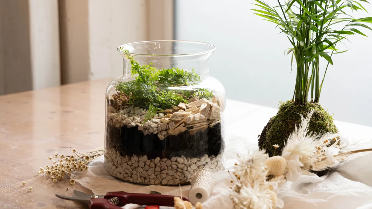 Réalisez votre terrarium