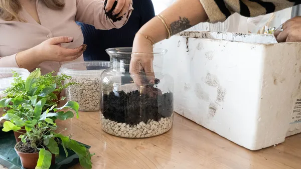 Réalisez votre terrarium - Image n°3 - Wecandoo