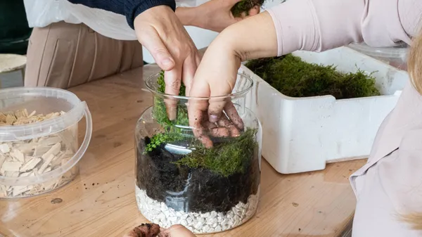 Réalisez votre terrarium - Image n°1 - Wecandoo