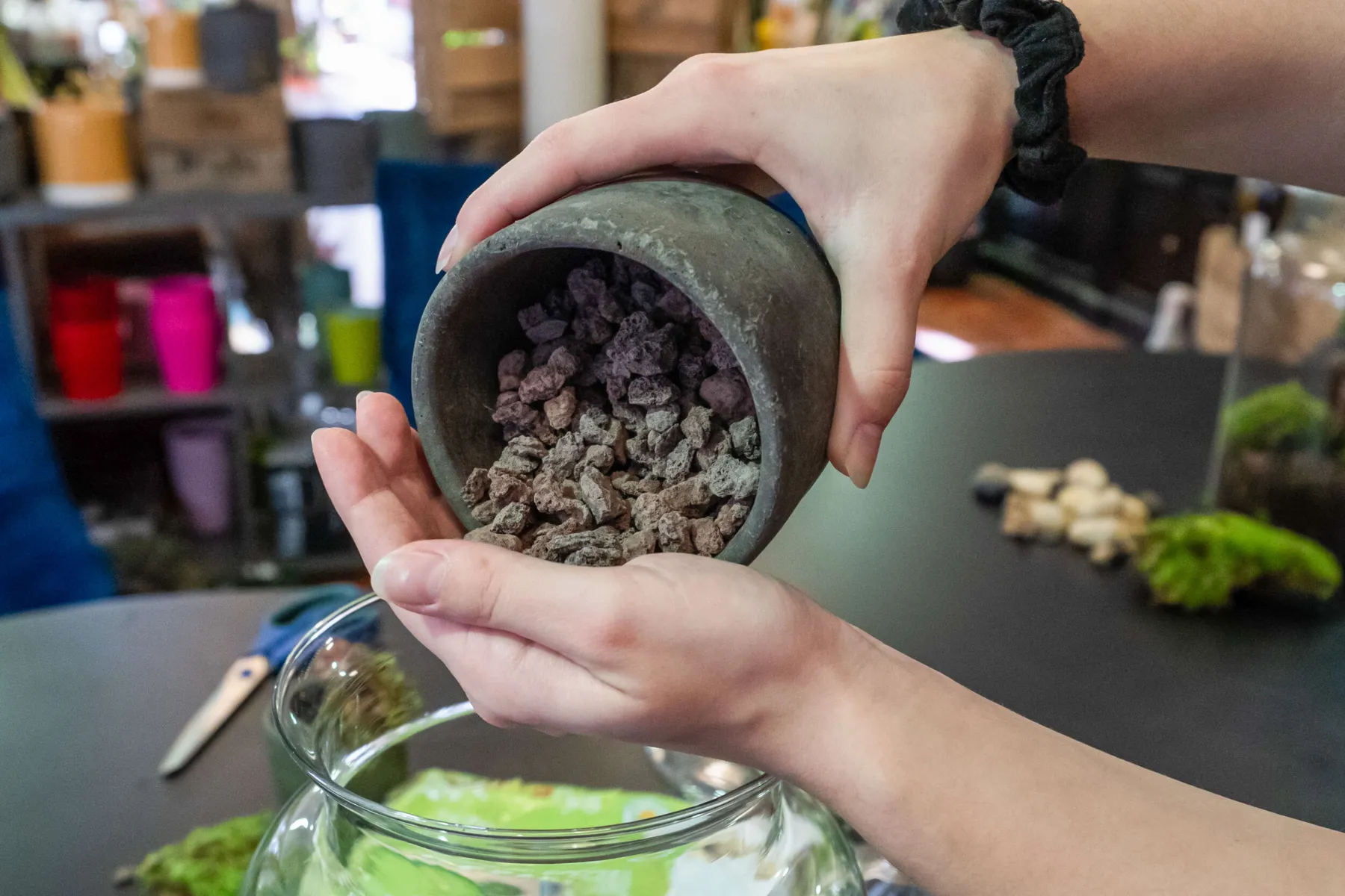 Créez votre terrarium - Image n°1 - Wecandoo