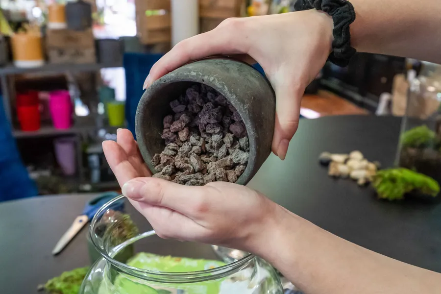 Créez votre terrarium - Image n°1 - Wecandoo