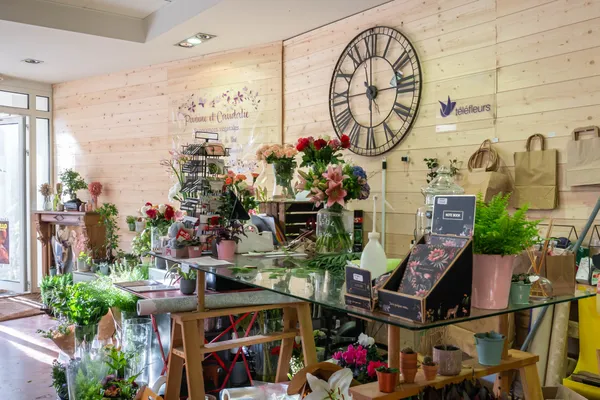 Réalisez votre kokedama - Image n°3 - Wecandoo