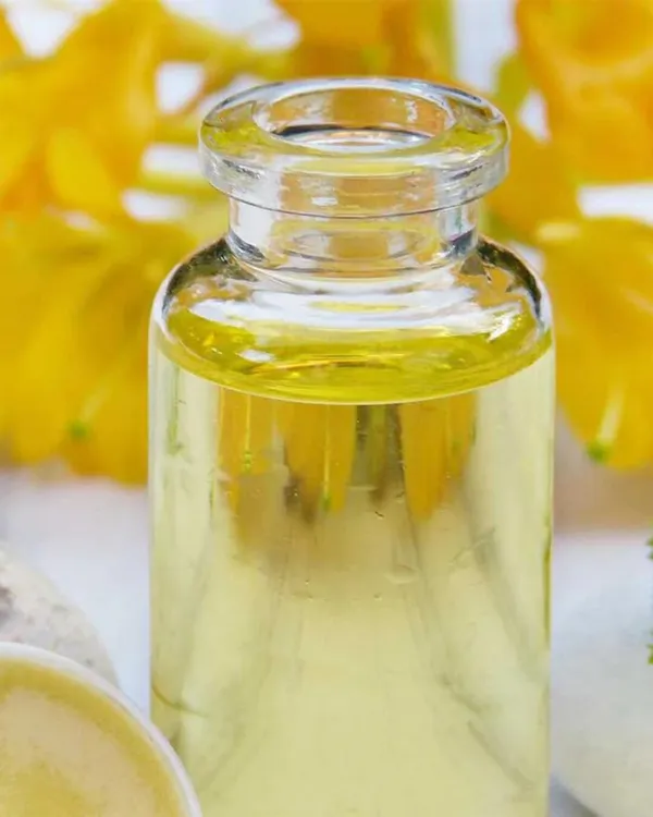 Créez vos deux produits cosmétiques anti-âge - Afbeelding nr. 3 - Wecandoo