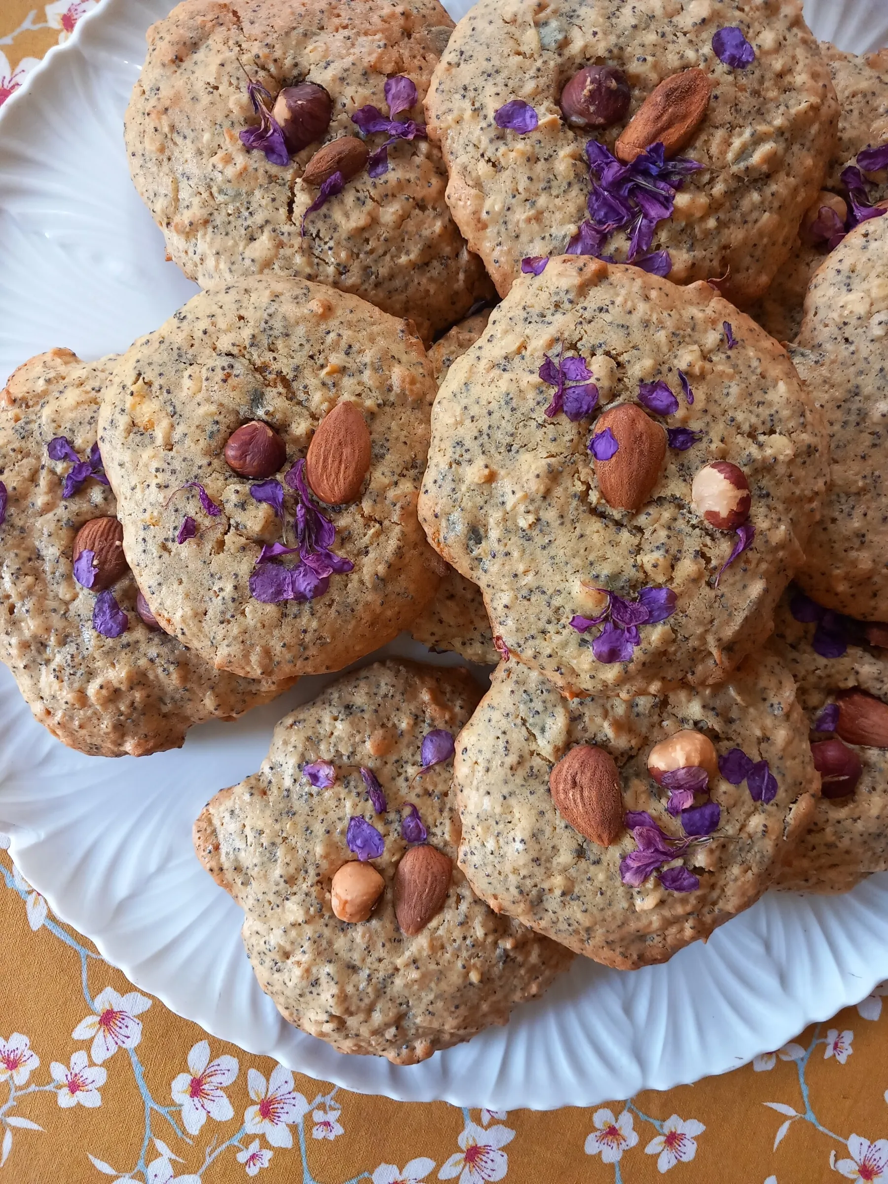 Balade botanique et découverte des plantes sauvages comestibles et médicinales - Image n°4 - Wecandoo