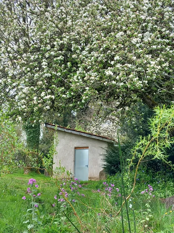 Balade botanique et découverte des plantes sauvages comestibles et médicinales - Image n°5 - Wecandoo