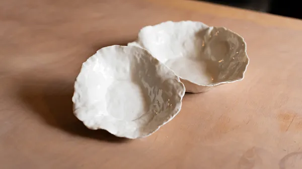 Initiez-vous à la porcelaine avec Guylène - Image n°5 - Wecandoo