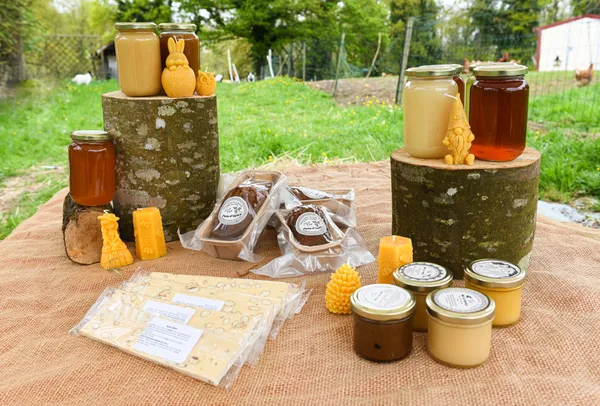 Dégustez des miels bretons, francais et rares avec Mathias - Image n°2 - Wecandoo