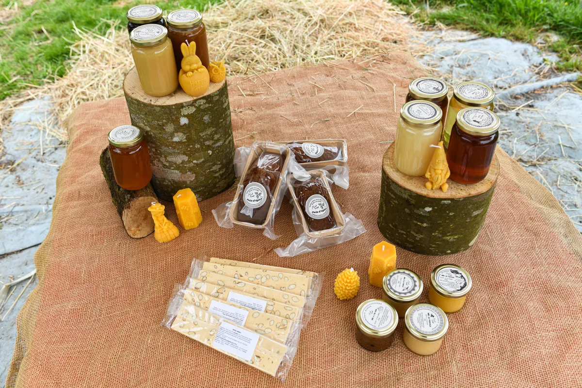 Initiez-vous à l'apiculture