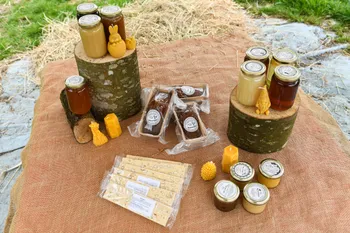 Initiez-vous à l'apiculture