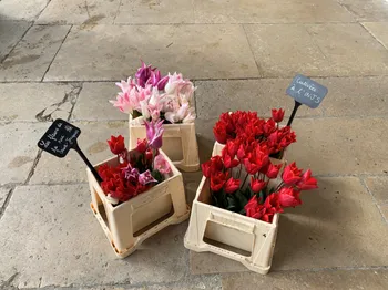 Cueillez vos fleurs et composez votre bouquet