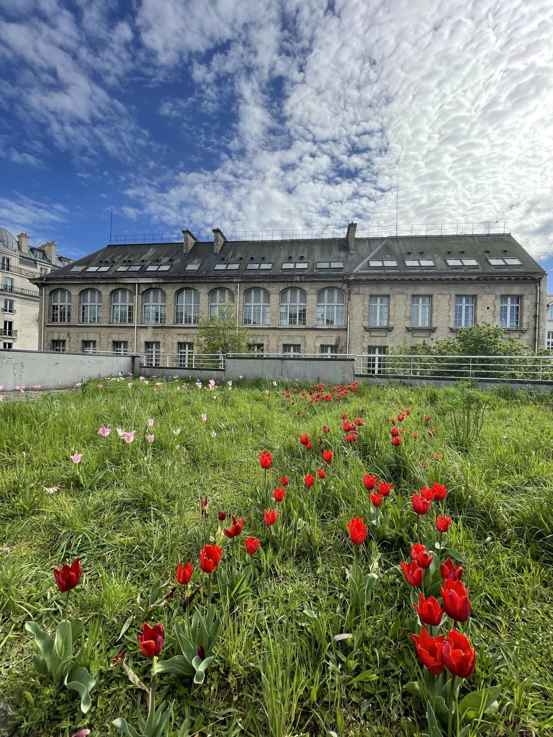 Visitez une ferme horticole au cœur de Paris