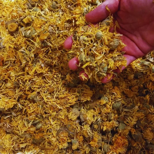 Réalisez votre duo de soins avec Aurélie - Image n°4 - Wecandoo