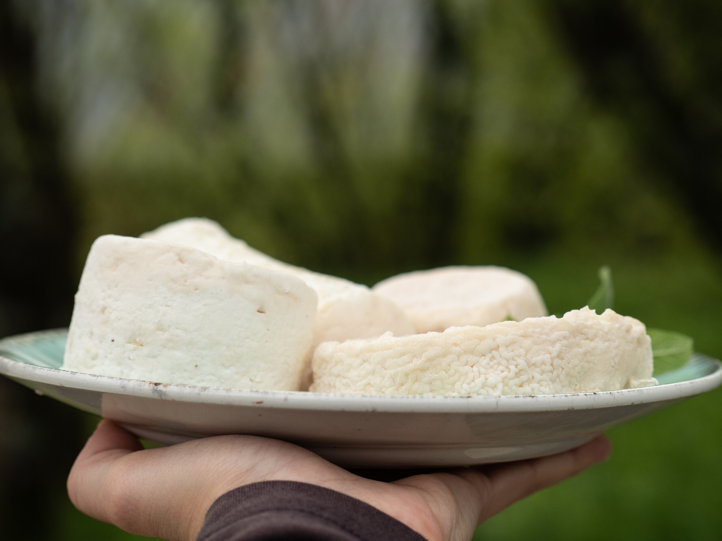 Fabriquez votre fromage
