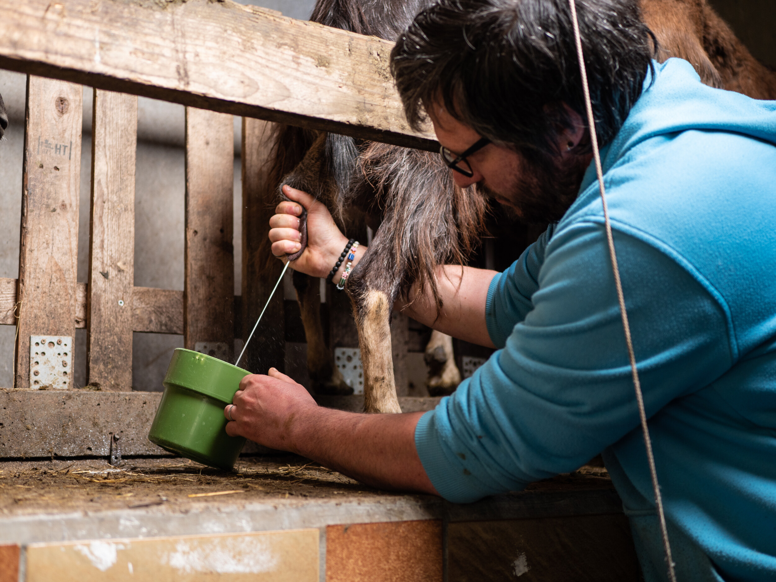 Wecandoo - Visitez un élevage de chèvres et fabriquez votre fromage avec Xavier - Image n°6