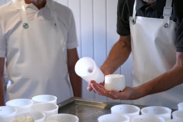 Fabriquez votre fromage fermier bio de brebis - Image n°2 - Wecandoo