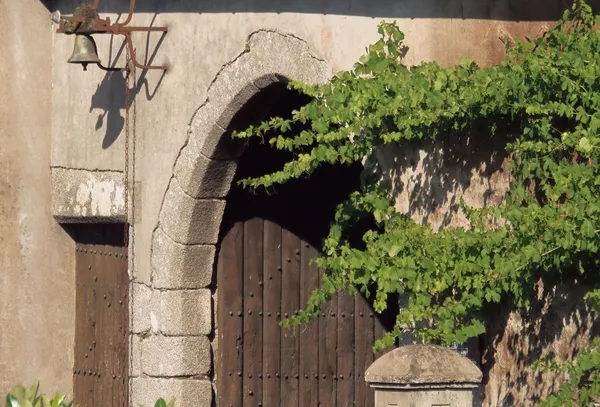 Apprenez à marier vin blanc et fromage avec Alizé et son équipe - Image n°5 - Wecandoo