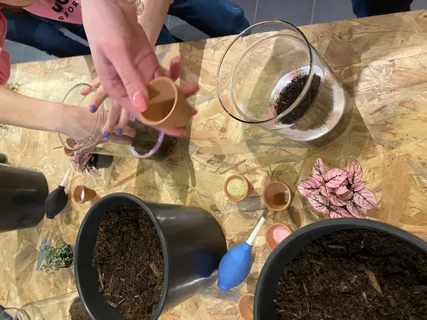 Créez et composez votre terrarium de taille M - Image n°5 - Wecandoo