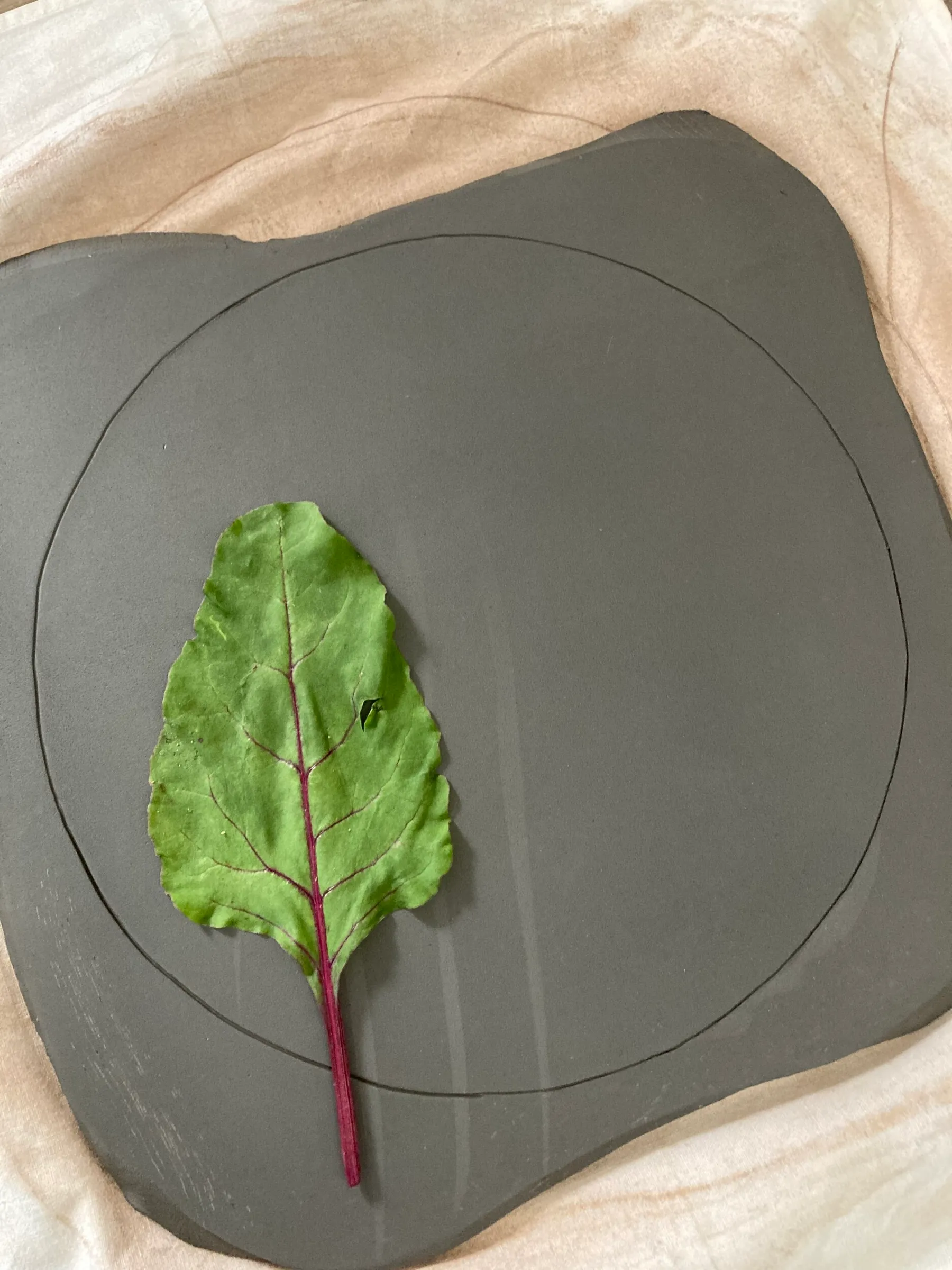 Modelez votre empreinte végétale avec Julie et son équipe - Image n°3 - Wecandoo