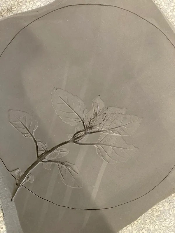 Modelez votre empreinte végétale avec Julie et son équipe - Image n°5 - Wecandoo