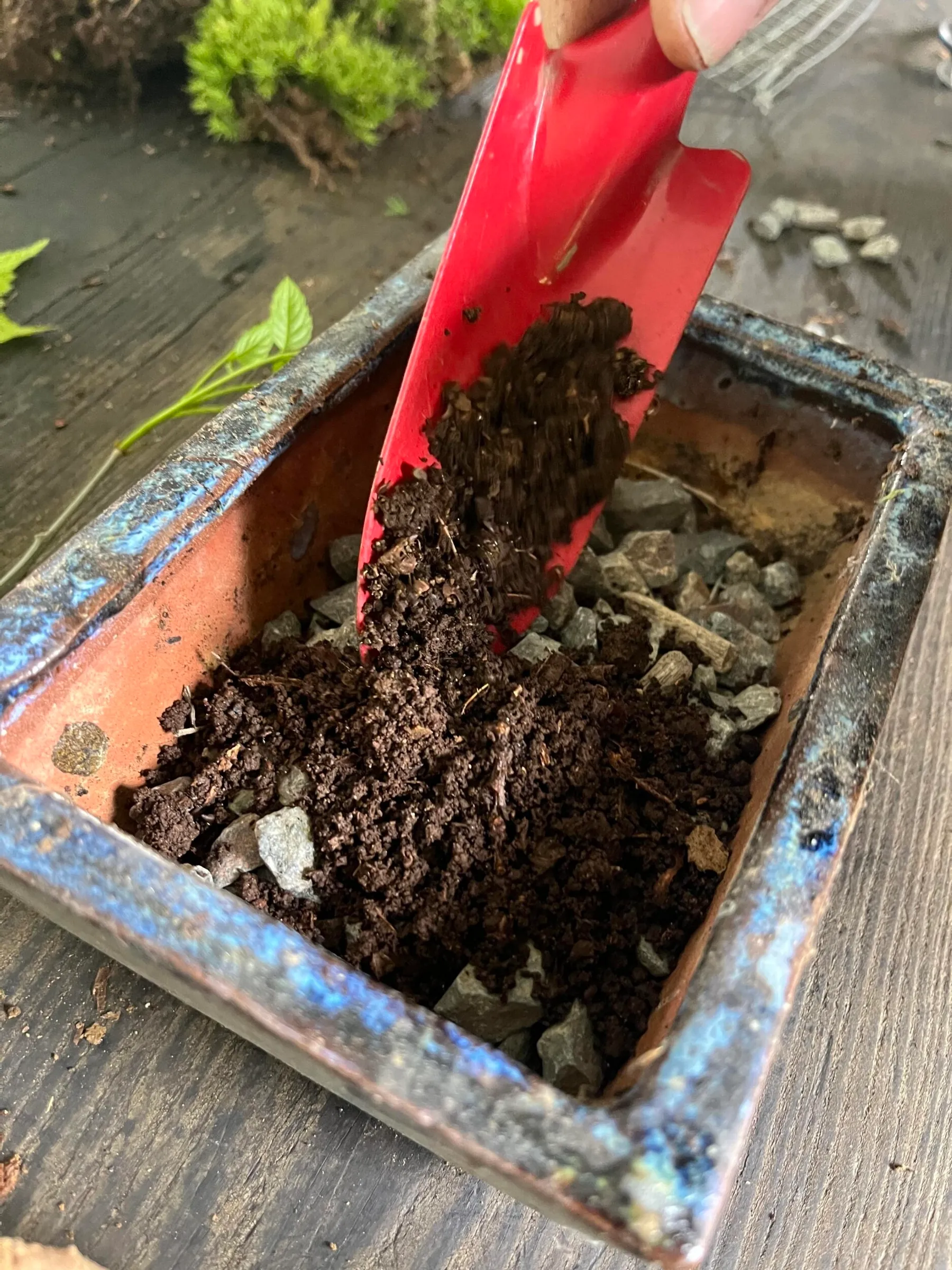 Créez votre keshiki bonsaï avec Françoise - Image n°5 - Wecandoo