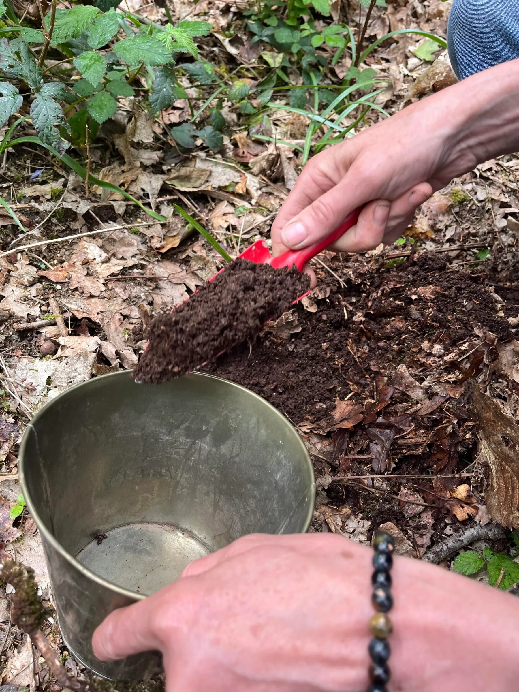 Créez votre keshiki bonsaï avec Françoise - Image n°4 - Wecandoo