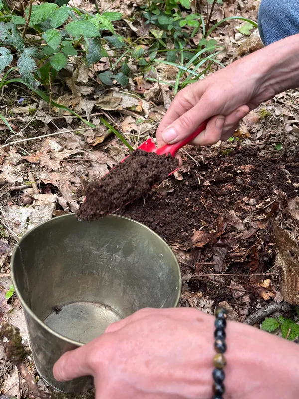 Créez votre keshiki bonsaï avec Françoise - Afbeelding nr. 4 - Wecandoo