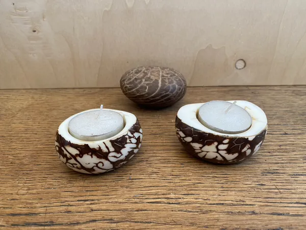 Créez un petit objet déco en ivoire végétal en duo avec votre enfant - Image n°4 - Wecandoo