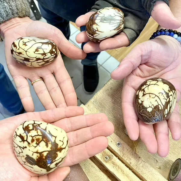 Créez un petit objet déco en ivoire végétal en duo avec votre enfant - Image n°3 - Wecandoo