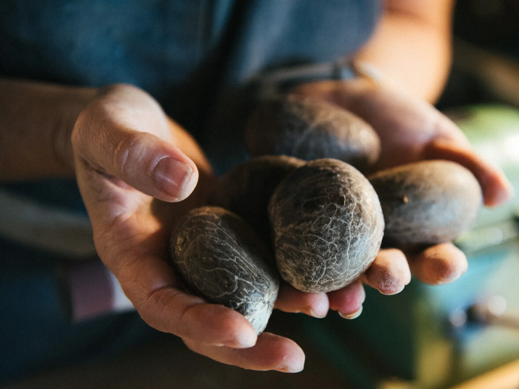 Créez un petit objet déco en ivoire végétal en duo avec votre enfant - Image n°1 - Wecandoo