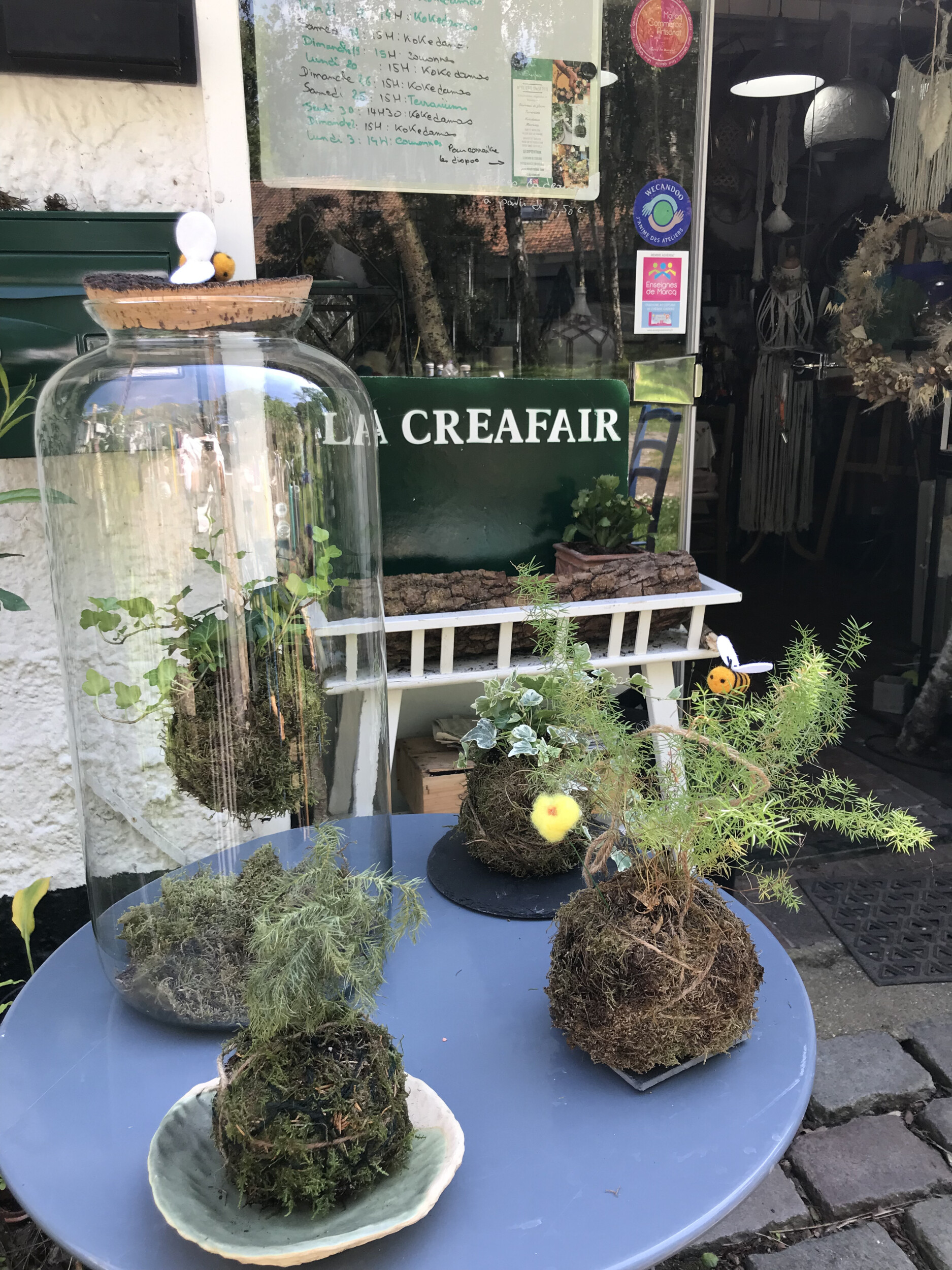 Créez vos deux terrariums en duo avec votre enfant