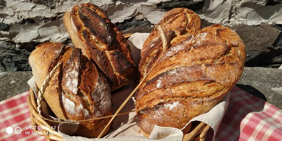 Réalisez vos pains au levain naturel et vos viennoiseries en duo - Image n°1 - Wecandoo