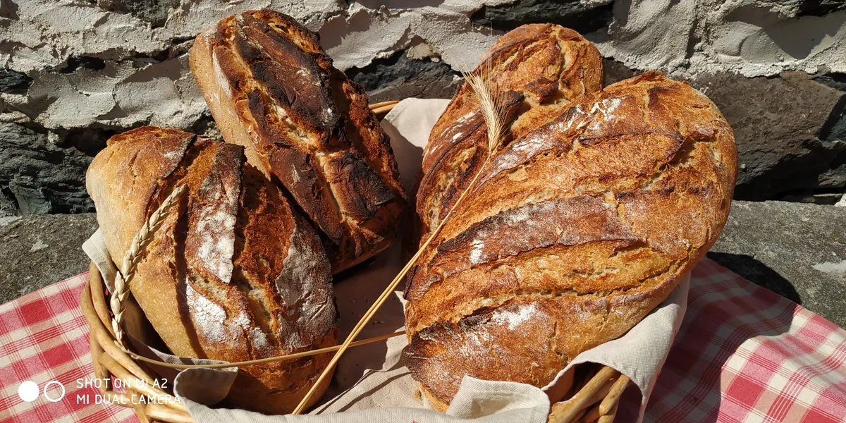 Réalisez vos pains et viennoiseries