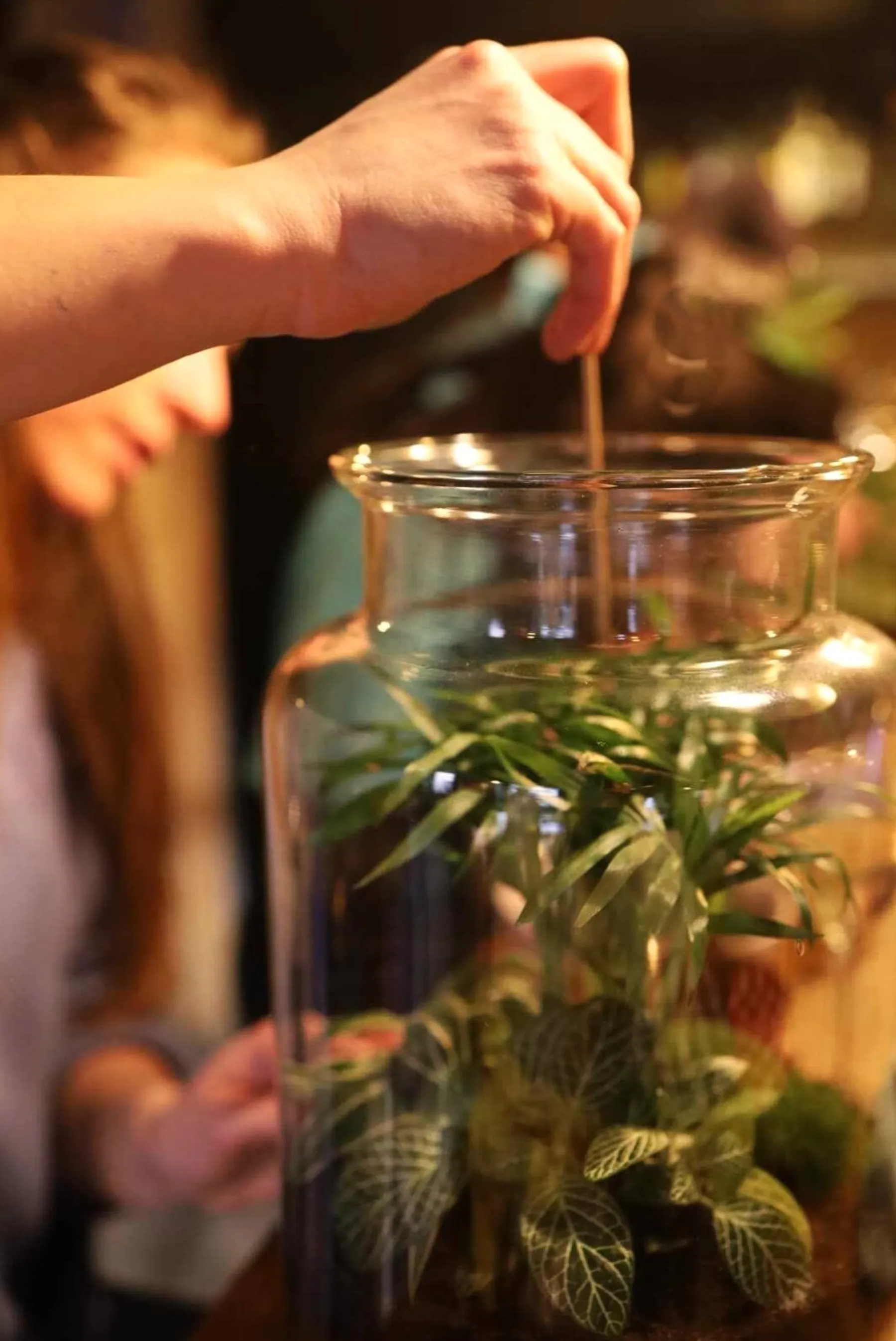 Réalisez votre terrarium de taille M avec Agathe - Image n°2 - Wecandoo