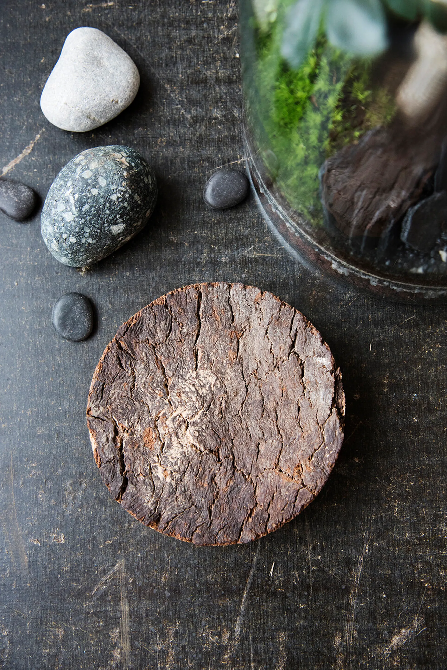 Créez votre petit terrarium - Image n°4 - Wecandoo