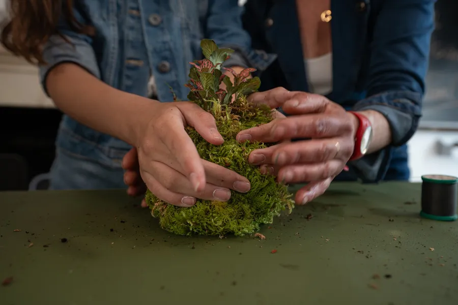 Réalisez votre kokédama avec Annabelle - Afbeelding nr. 1 - Wecandoo