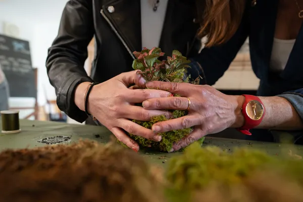 Réalisez votre kokédama en famille avec Annabelle - Image n°3 - Wecandoo