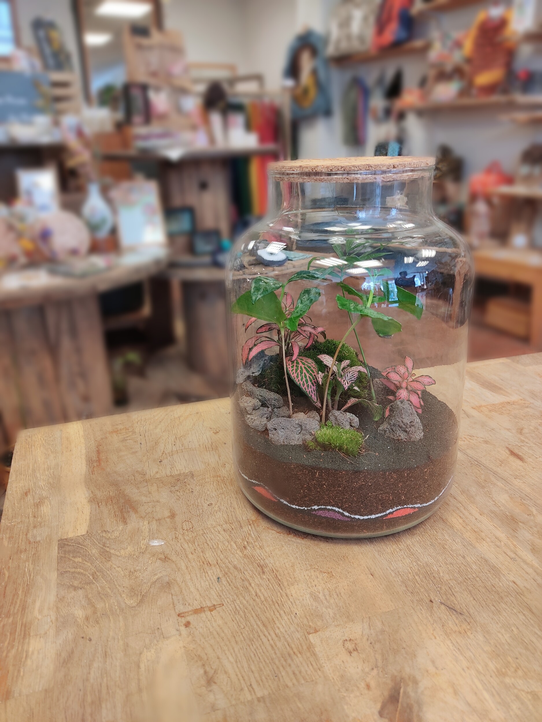 Créez votre terrarium de taille M à Rouen