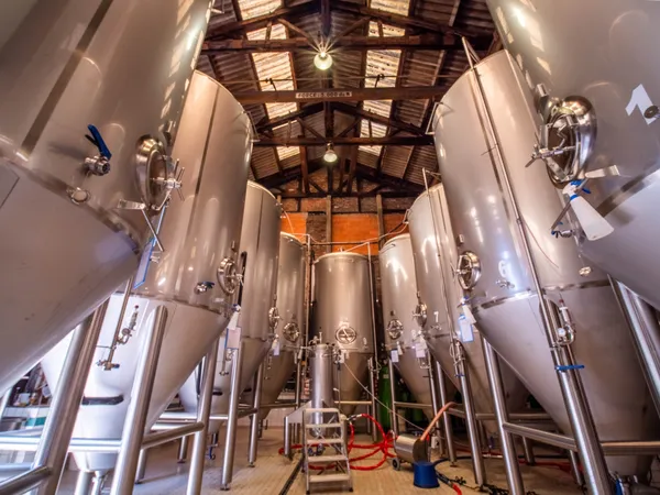 Prenez un apéro gourmand associant bières et bouchées de saison au cœur d'une brasserie - Image n°2 - Wecandoo