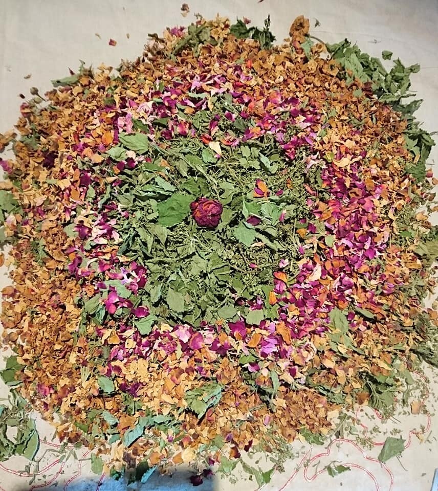 Découvrez les plantes sauvages