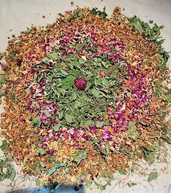 Wecandoo - Découvrez les plantes sauvages