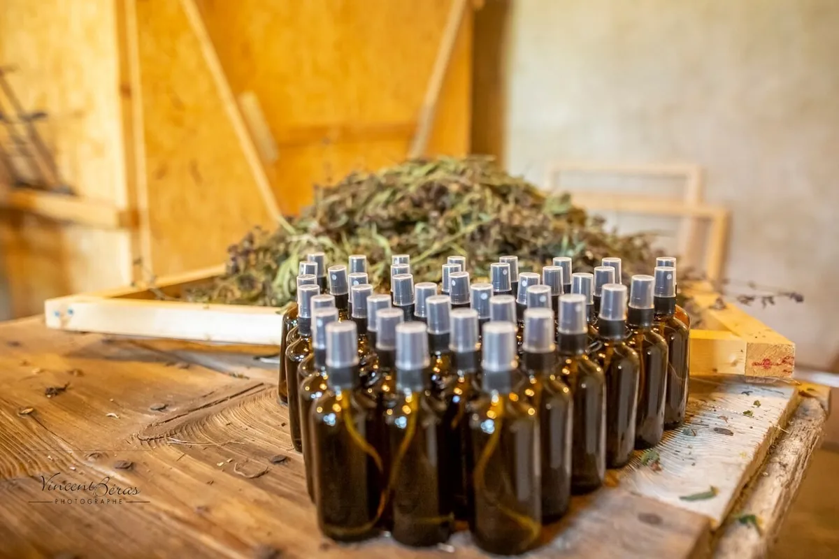 Distillez votre hydrolat