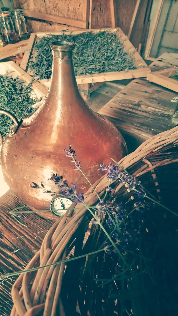 Distillez votre hydrolat avec Madeleine - Image n°2 - Wecandoo