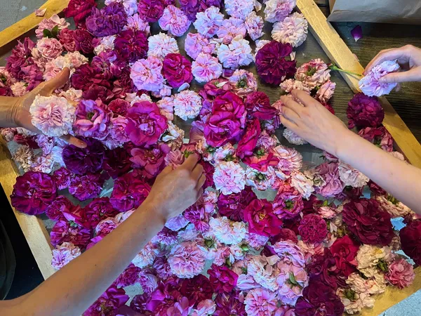 Distillez votre hydrolat avec Madeleine - Image n°3 - Wecandoo