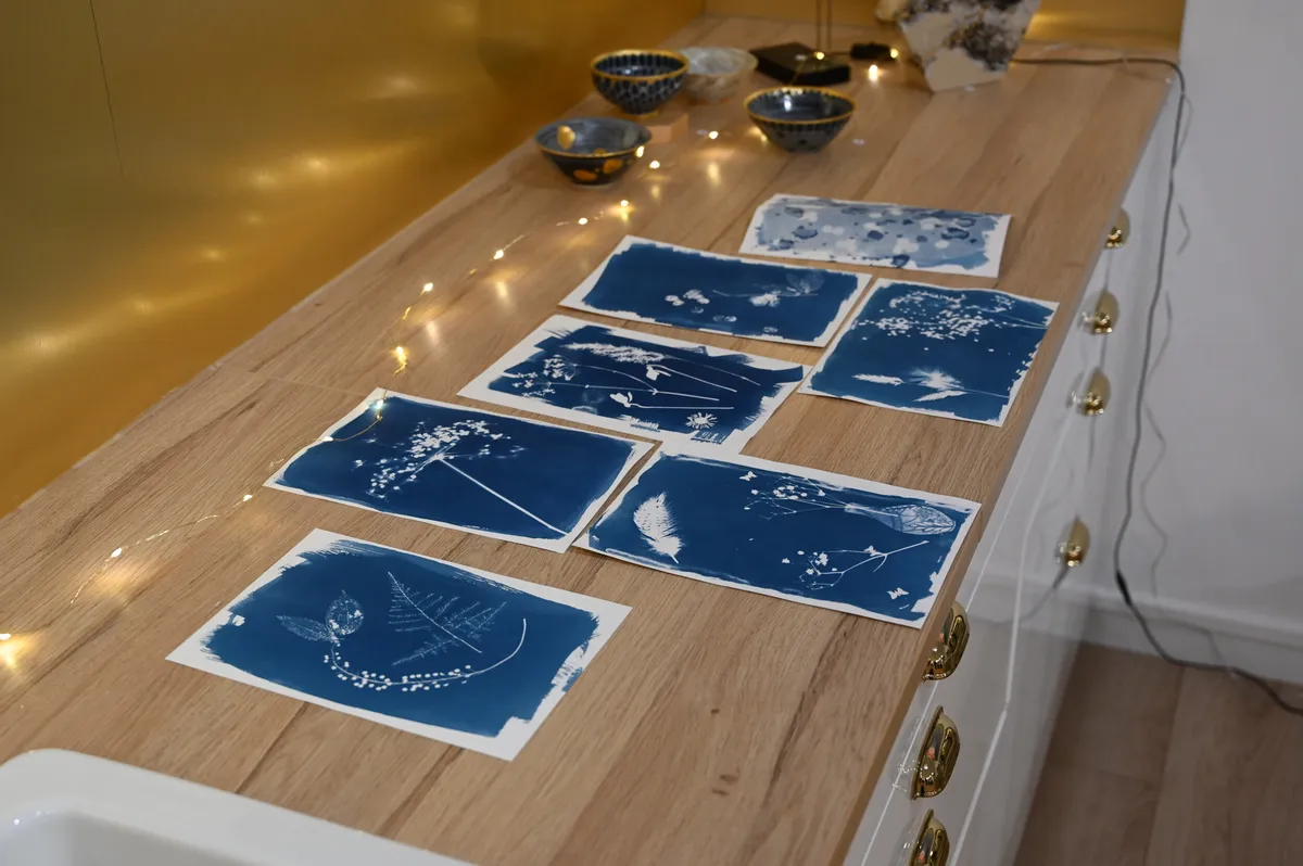 Créez votre cyanotype