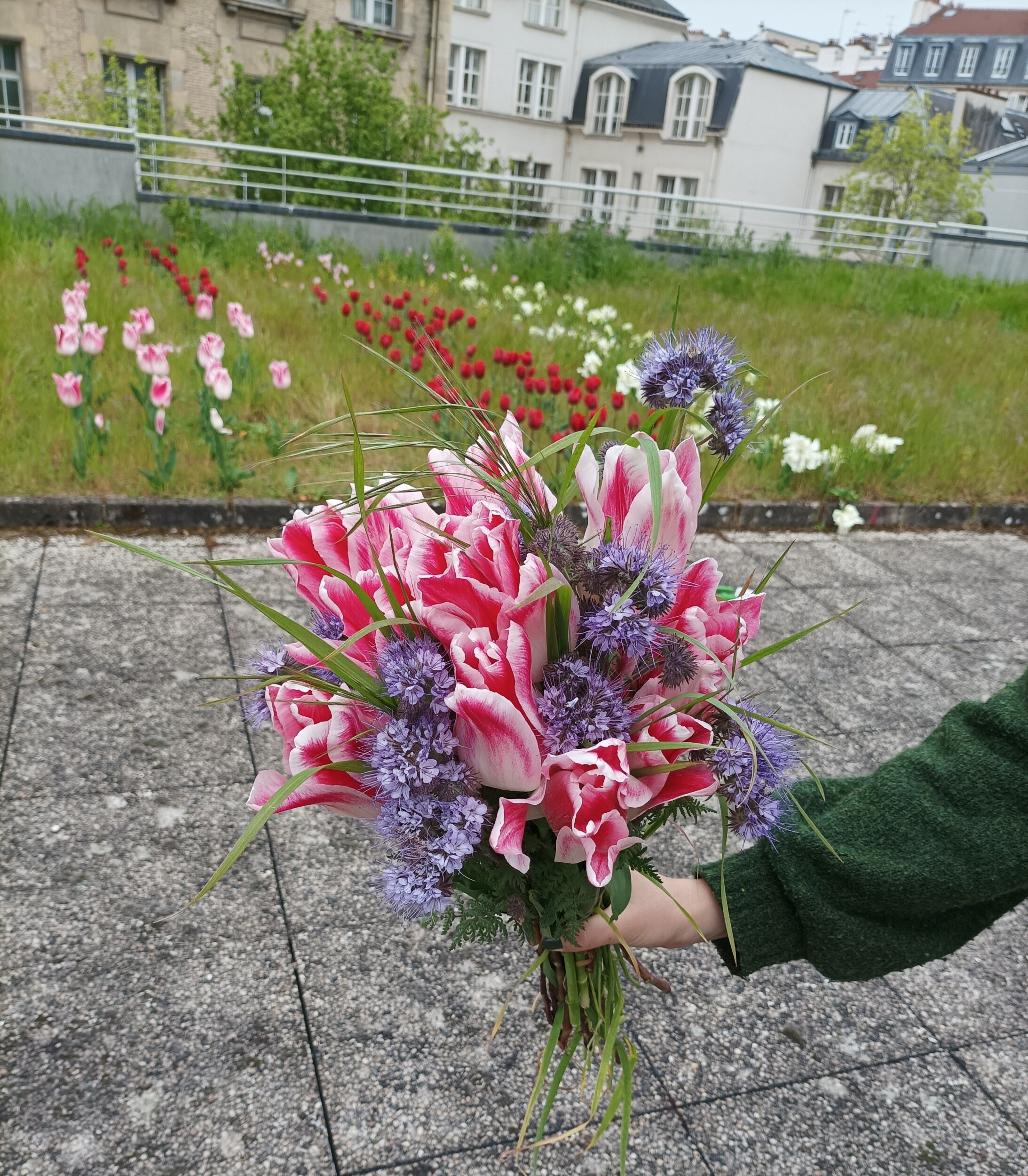 Visitez une ferme horticole urbaine en famille