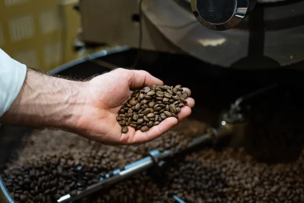 Découvrez le café de spécialité avec Thomas - Afbeelding nr. 1 - Wecandoo