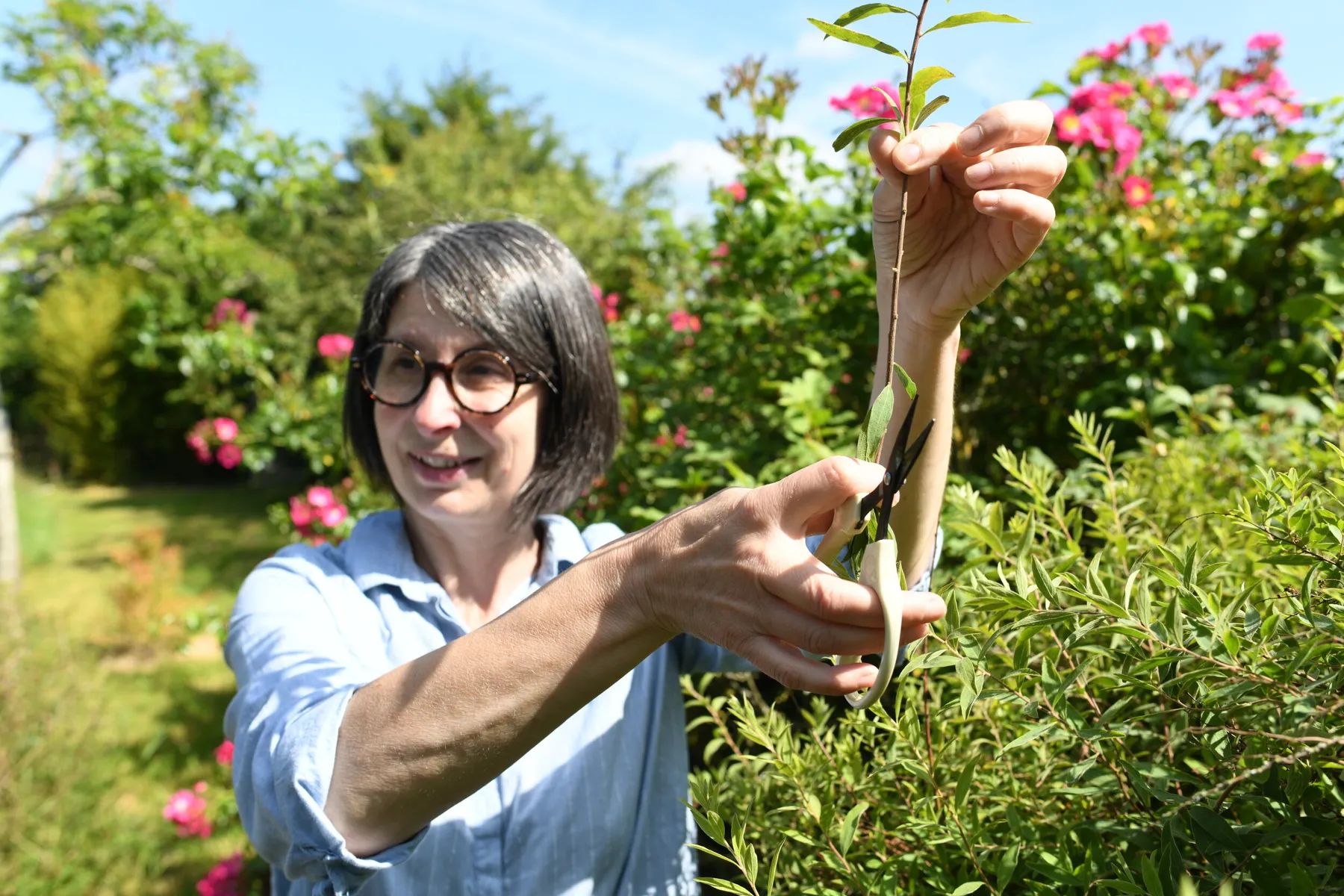 Composez votre bouquet de fleurs fraîches locales avec Laurence - Image n°2 - Wecandoo