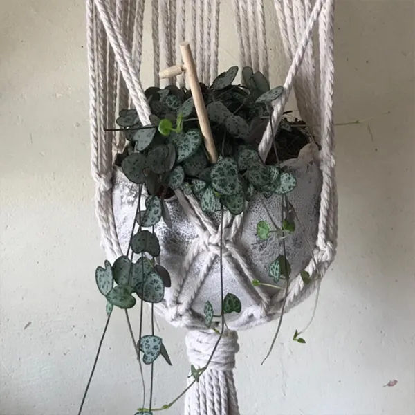 Modelez votre suspension pour plantes - Image n°1 - Wecandoo